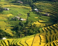 Passion Vietnam