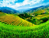 Passion Vietnam