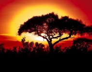 Passion Kenya, Tanzanie, Zanzibar