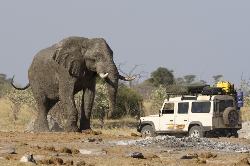 Safaris dans le parc National de Hluhluwe