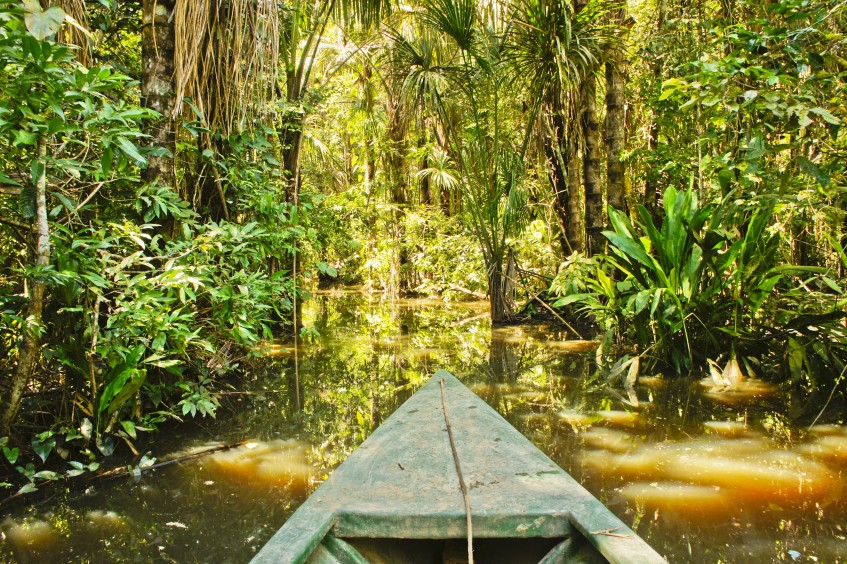 Cusco - Puerto Maldonado - Amazonie