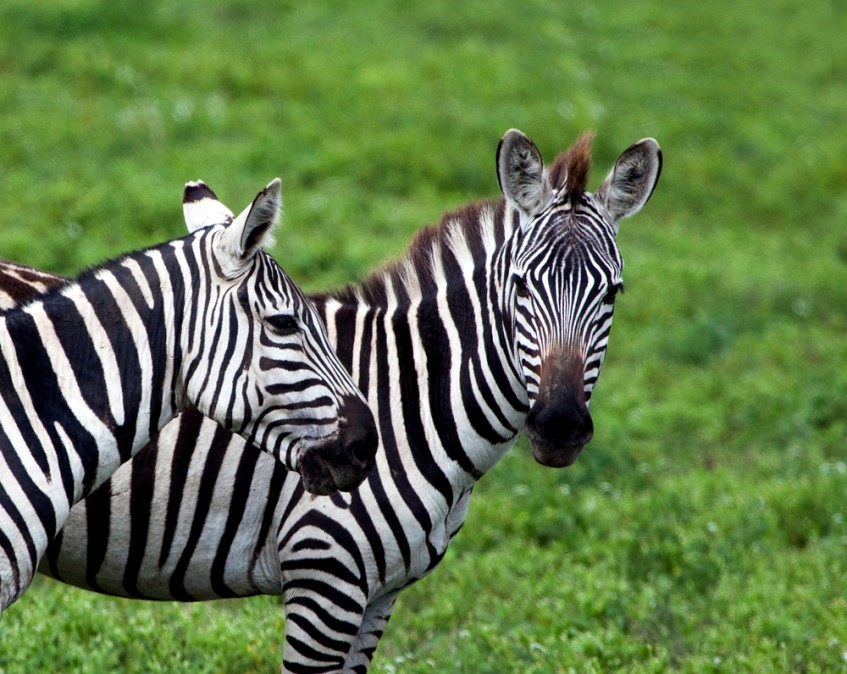 Botswana
