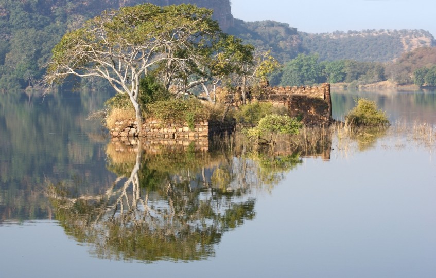 Ranthambore (safaris)