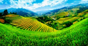 10 raisons de voyager au Vietnam
