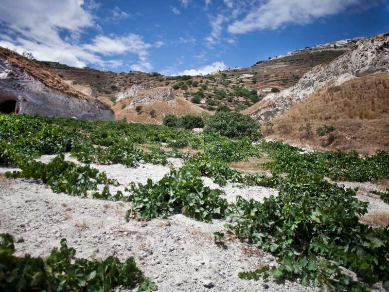 Santorin - Crête (Heraklion) (PD/D)
