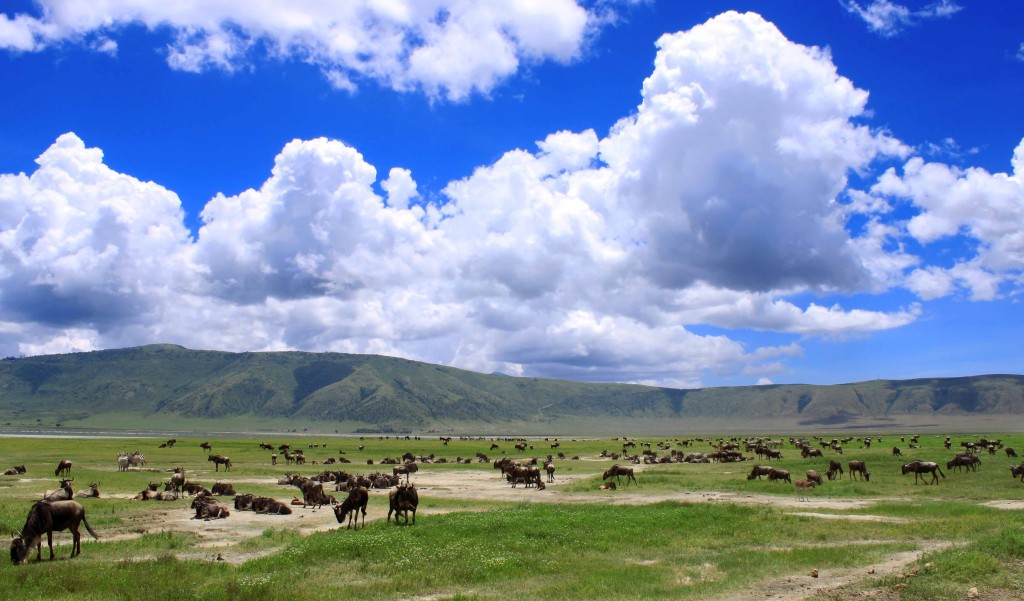 Voyage organisé Kenya et Tanzanie