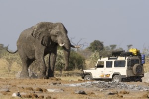 Informations sur l'Afrique du Sud