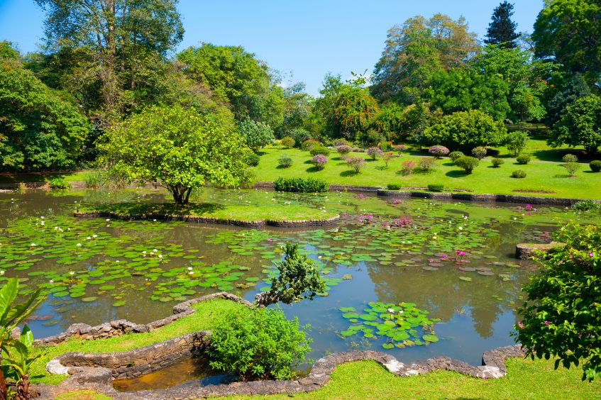 Sigiriya - Matale - Kandy (PD/D/S)