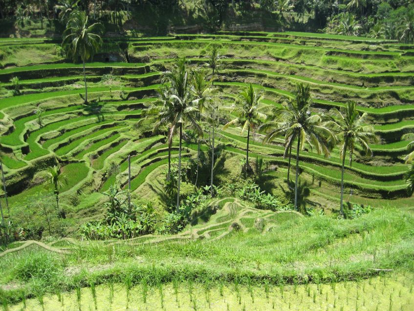 Candidasa - Ubud