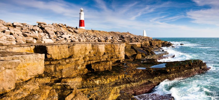Dorset de Portland (PD/D/S)