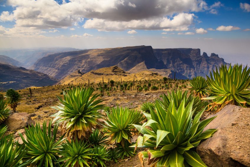 Parc National du Simien - Gondar (PD/D/S)