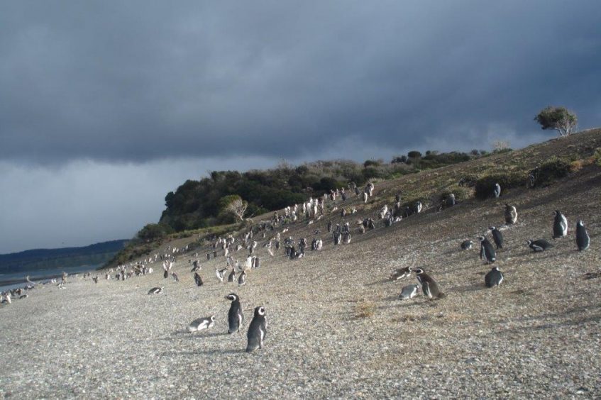 Ushuaia