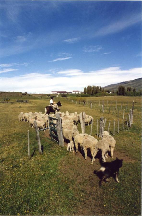 Ushuaia - El Calafate (vol)
