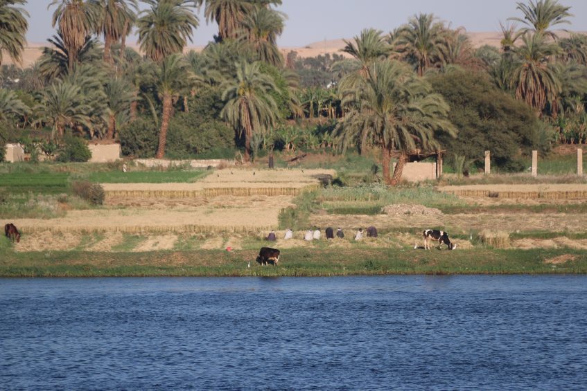 Alexandrie - Le Caire - Louxor (vol)