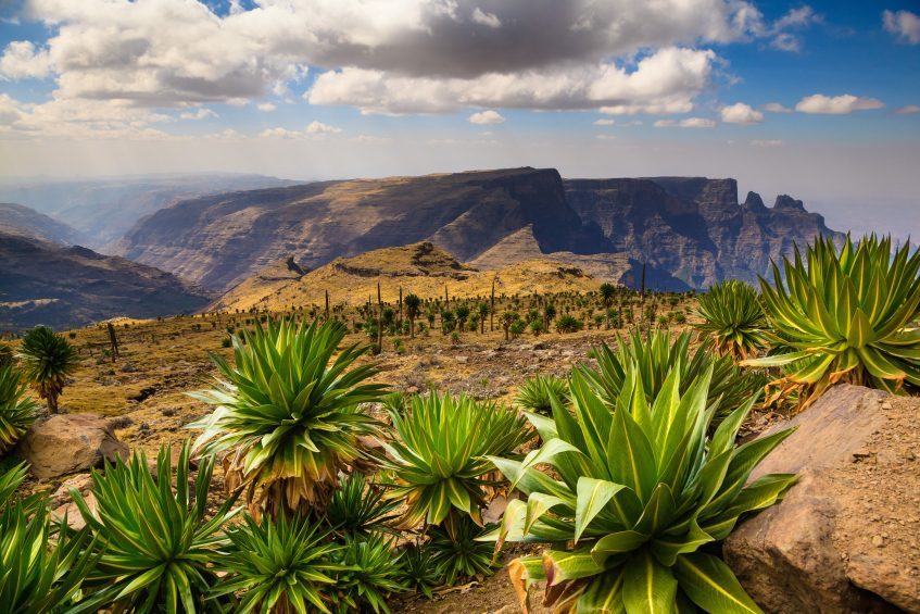 Parc National du Simien - Gondar