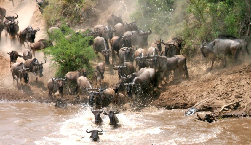 Parc National du Serengeti