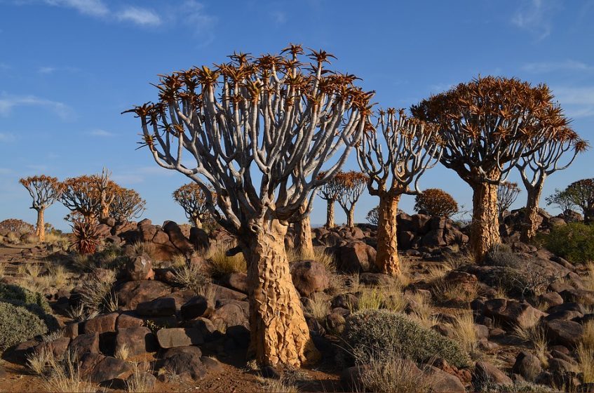 Ai Ais - Mariental