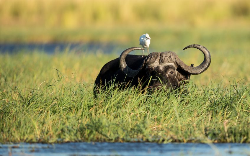 Botswana