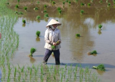 Ho Chi Minh - Cai Be - Vingh Long - Can Tho