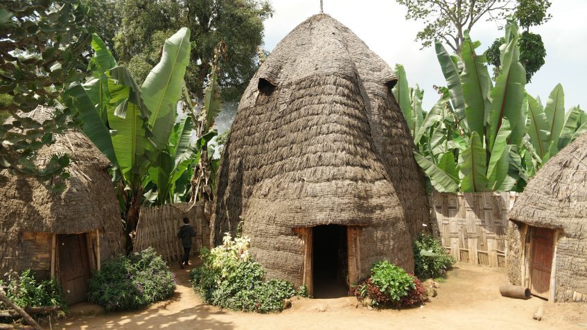 Arba Minch - Addis-Abeba (vol)