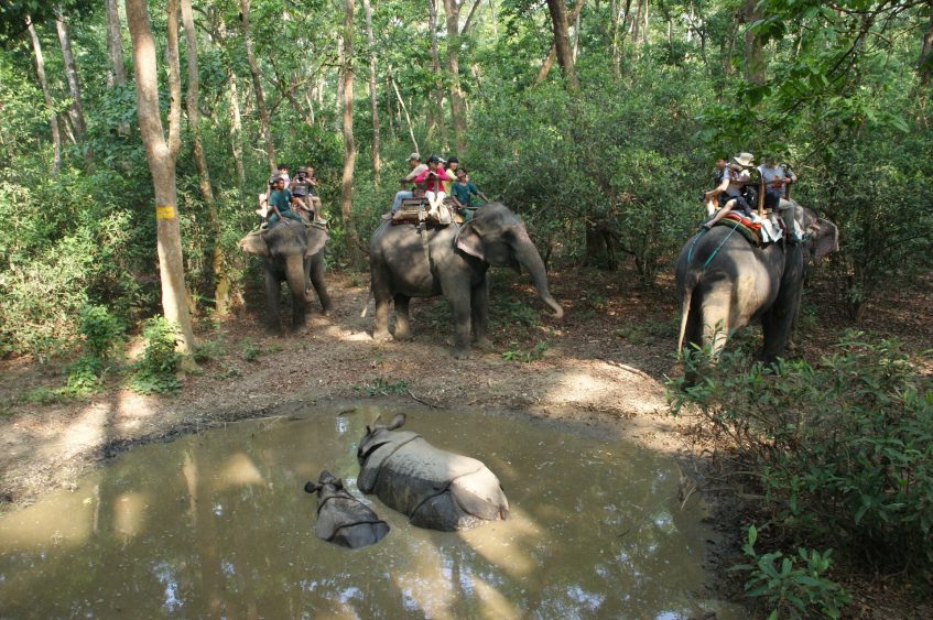 Chitwan