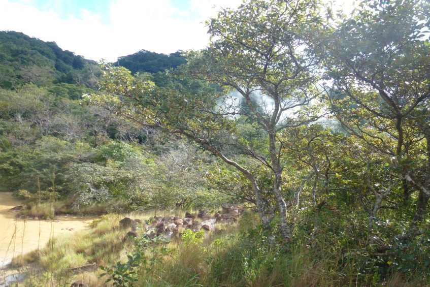 Rincon de la Vieja