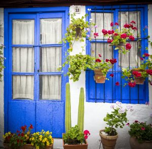 Les patios de Cordoue