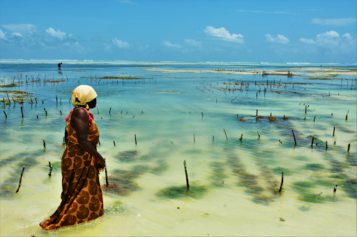Zanzibar