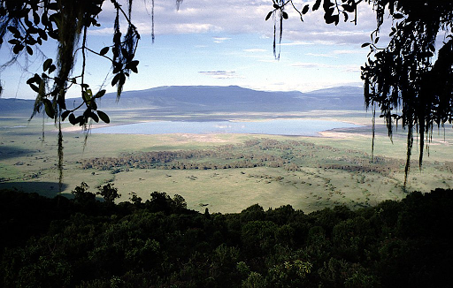 Parc national de Serengeti - Gorges Olduvai - Cratère Ngorongoro