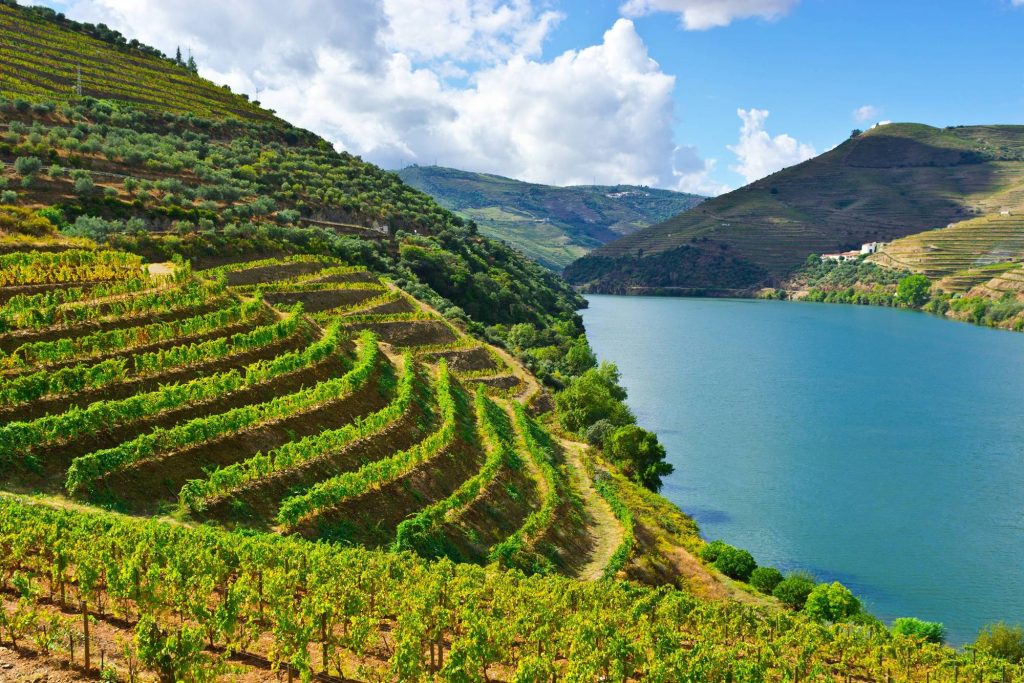 Porto Croisière sur le Douro - Porto