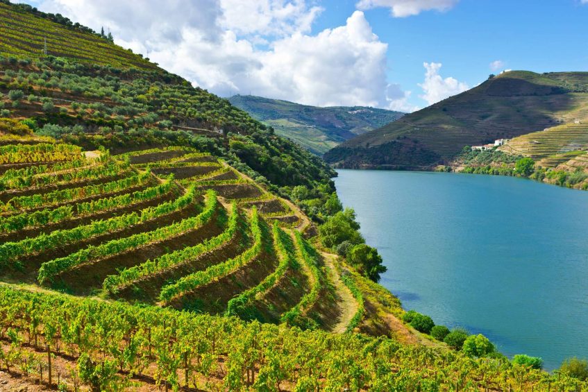 Porto - Croisière sur le Douro - Porto