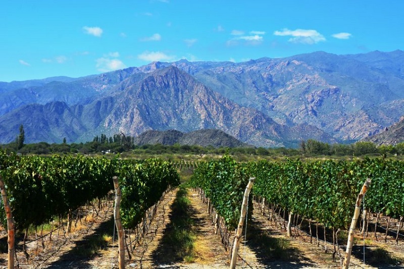 Salta - Cafayate