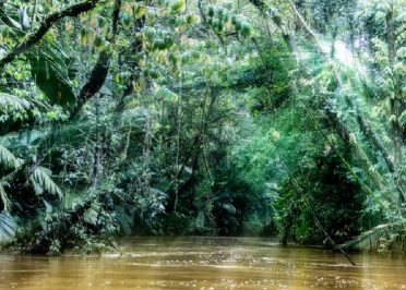 Sarapiqui - Tortuguero