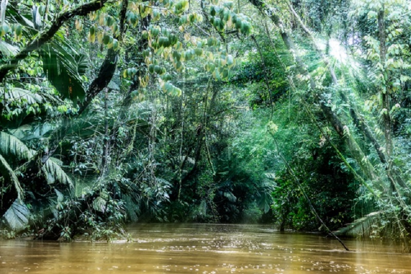 Sarapiqui  Tortuguero