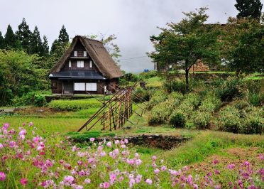 Takayama - Shirakawago - Kanazawa