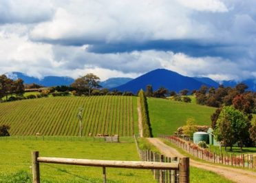 Melbourne - Yarra Valley