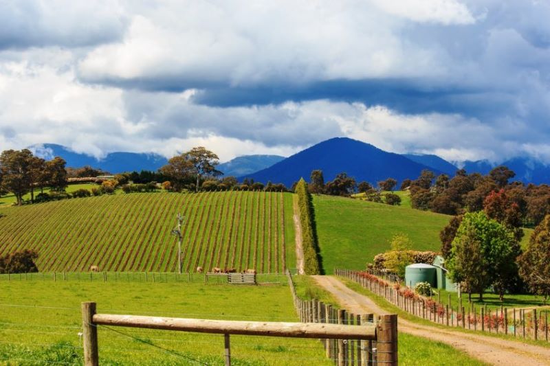 Melbourne - Yarra Valley