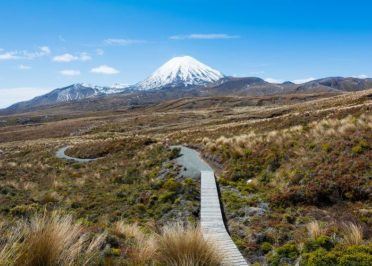 Rotorua - Tongariro