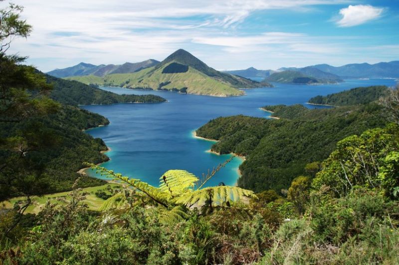 Wellington - St-Arnaud (ferry)