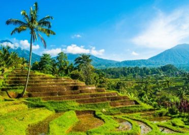 Ubud - Région des lacs - Pemuteran