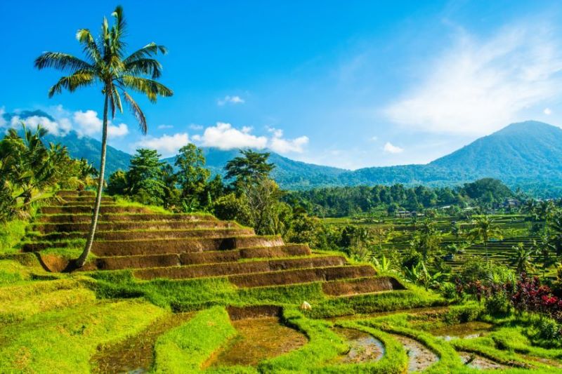 Ubud  Région des lacs - Pemuteran