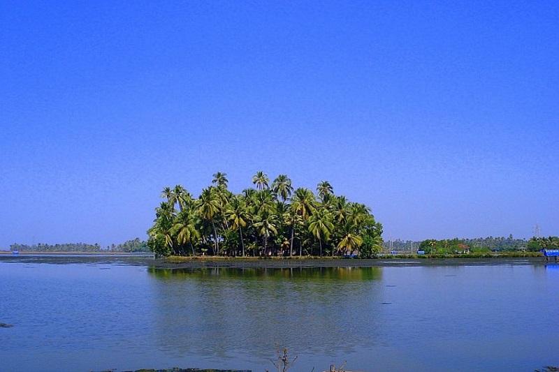 Cochin - Kumbalangi - Cochin