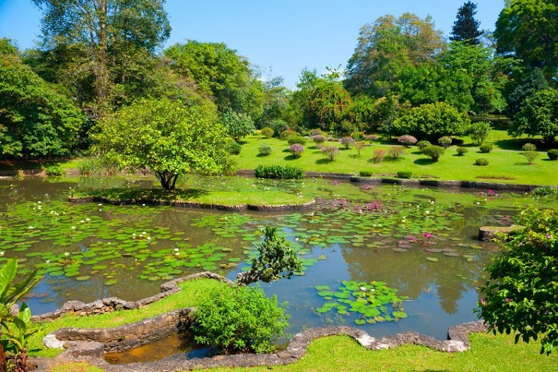 Sigiriya - Matale - Kandy