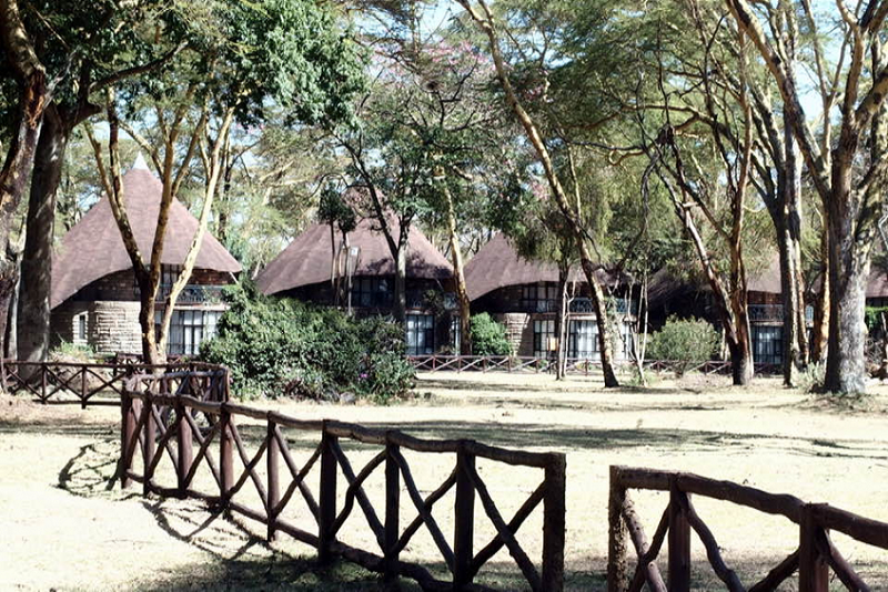 Masaï Mara - Lac Naivasha