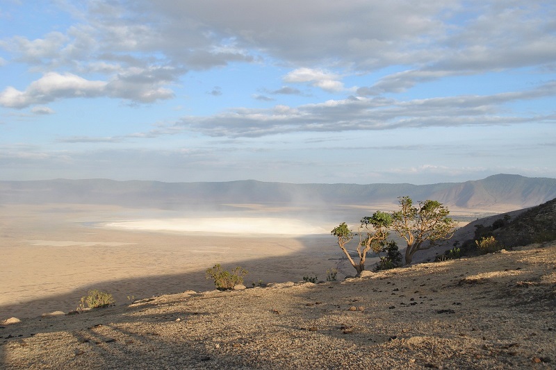 Parc national de Serengeti  Gorges Olduvai - Cratère Ngorongoro