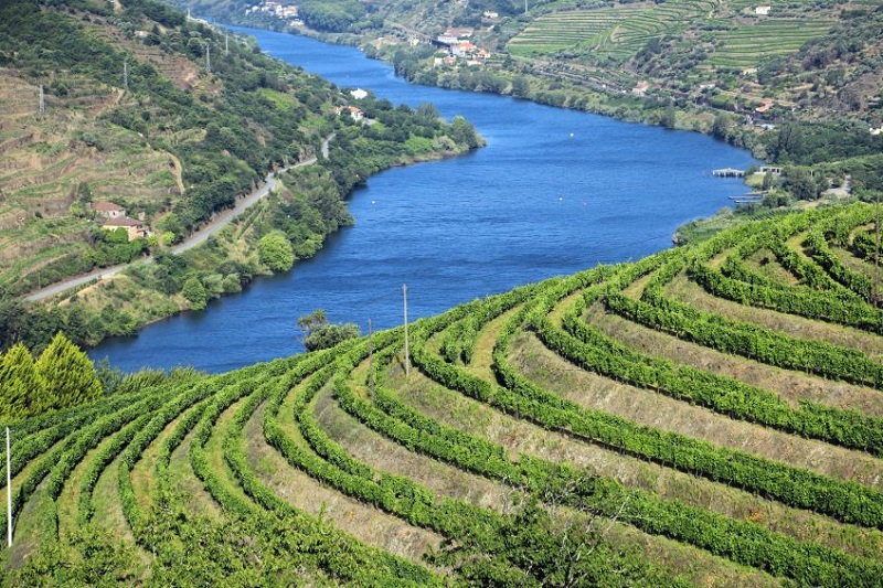 Salamanque - Peso da Régua - Porto