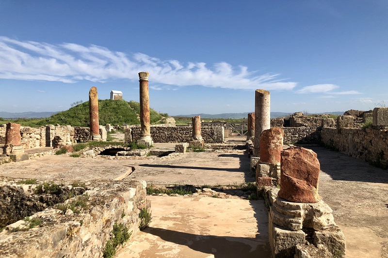 Tabarka - Ain Draham - Bulla Regia - Dougga - Hammamet