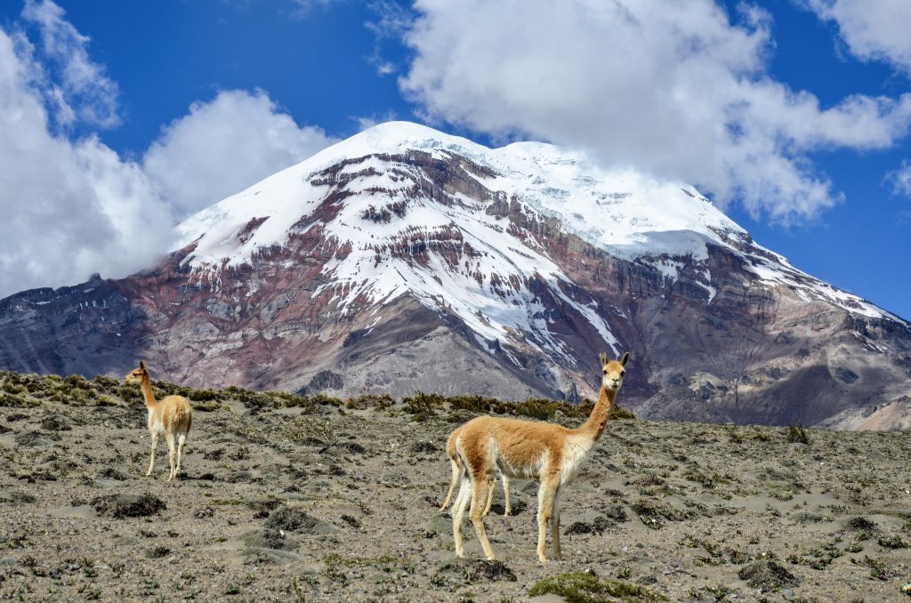 Baños  Réserve du Chimborazo - Riobamba