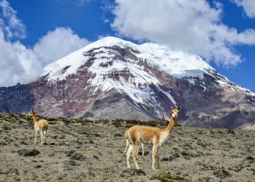 Baños - Réserve du Chimborazo - Riobamba