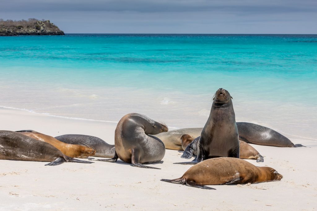 Guayaquil  Vol vers les Galapagos - Ile San Cristobal